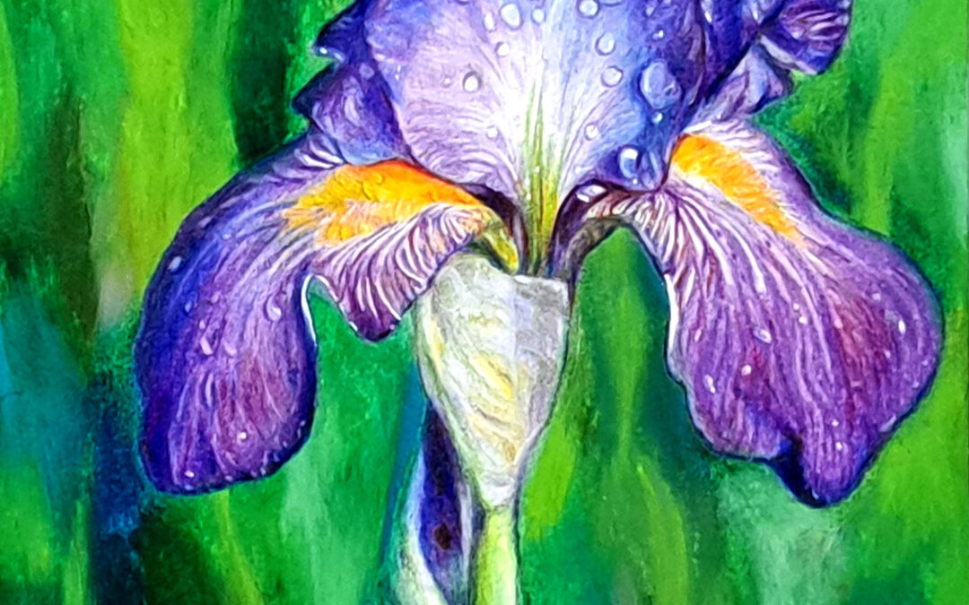 Iris 14.8x21cm Oil pastel on paper