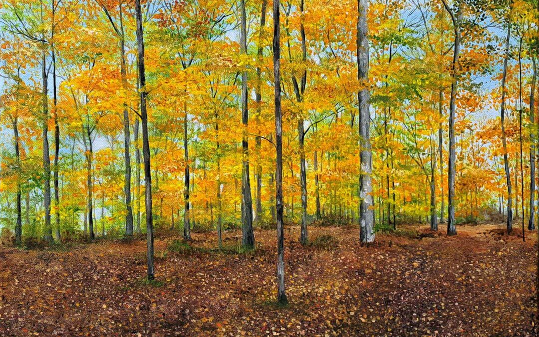 Wismer Park 51×40.5cm Acrylic on canvas