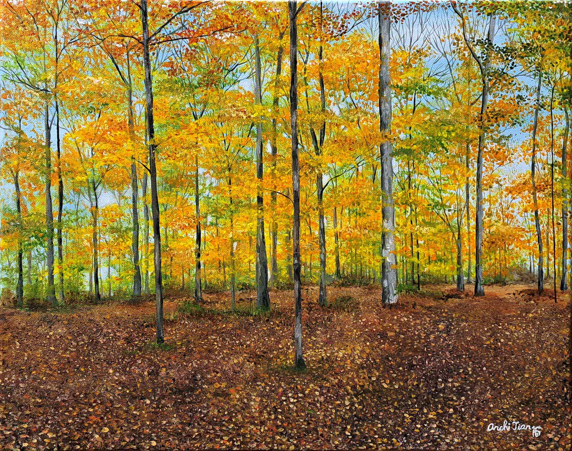 Wismer Park 51×40.5cm Acrylic on canvas